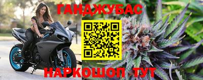 стафф Будённовск