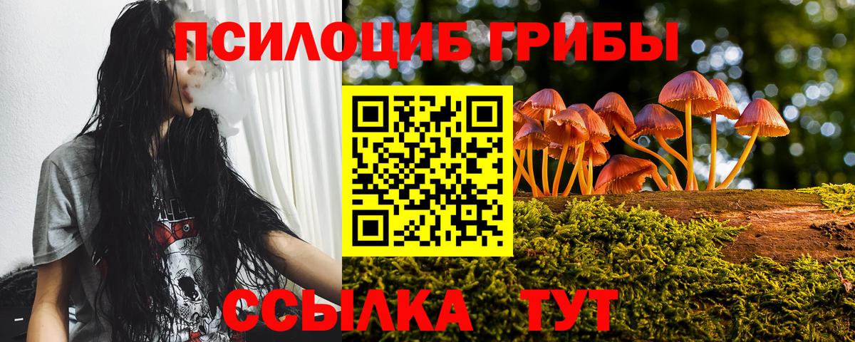 Псилоцибиновые грибы Cubensis  Вход с VPN  Чистополь 