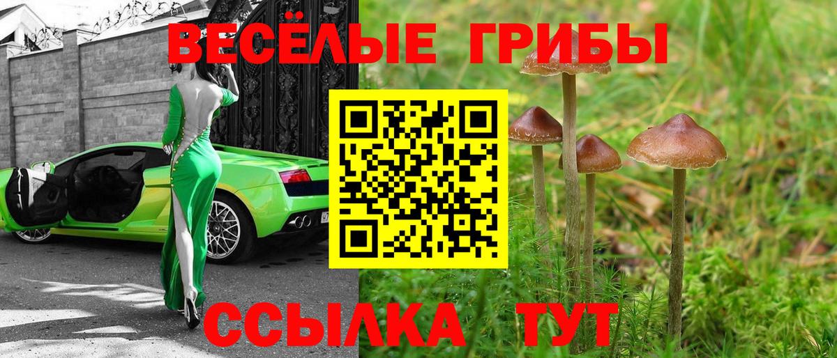 Галлюциногенные грибы прущие грибы Чистополь